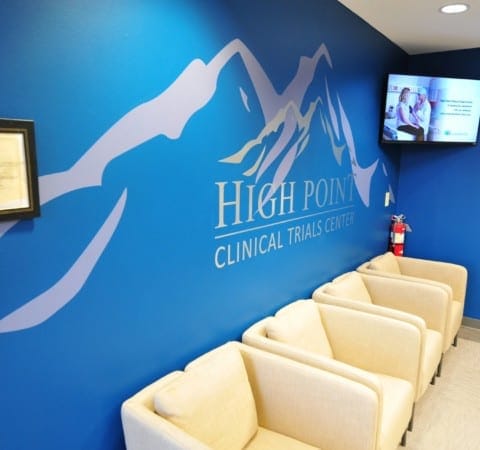 Custom large adhesive die-cut branded vinyl wall decals created and applied by Holt Environments