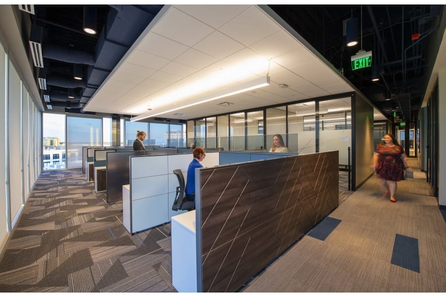 Innovative office room with low height dark wood panel cubby dividers with suspended light source