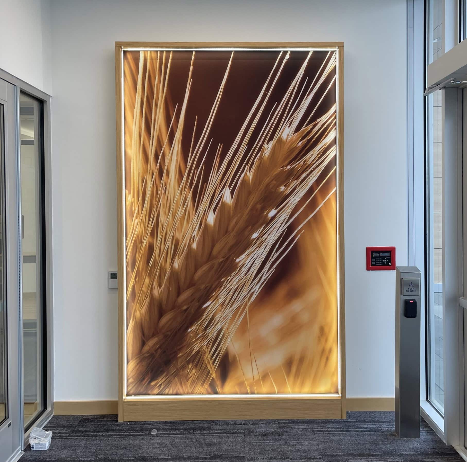 Syngenta HQ branded interiors - Vestibule Graphics brown